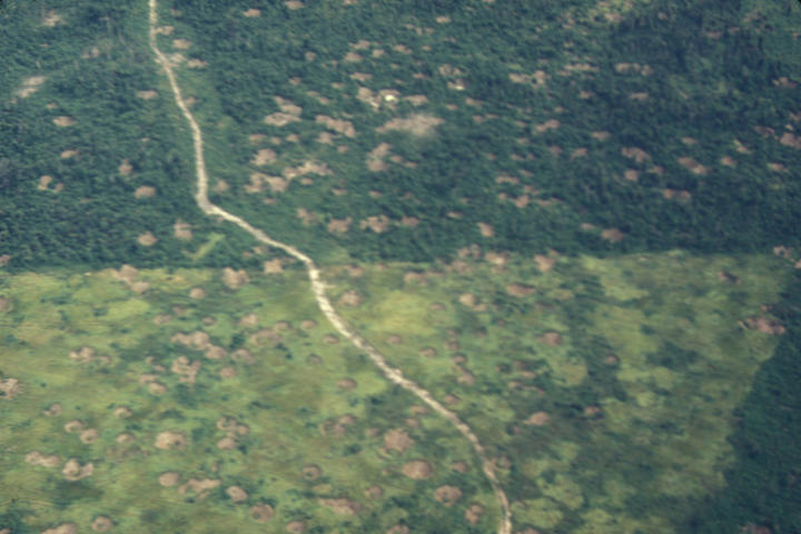 Contrast between sprayed and not sprayed heavily bombed forest, August 1970